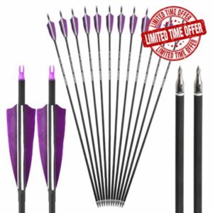 wolfman 12X 30 Carbon Arrows SP500 Feathers Points Recurve Compound Bow Archery Hunting