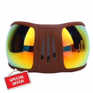 Jectse Multi Layers Horse Glasses Soft Padding Windproof Horse Goggles