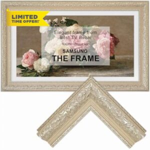 Samsung the Frame TV Bezel/Mounts