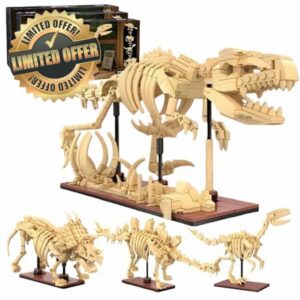3 in 1 Stegosaurus Dinosaur Skeleton Building Blocks Set