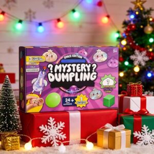 24 PCS Surprise Fidget Toys