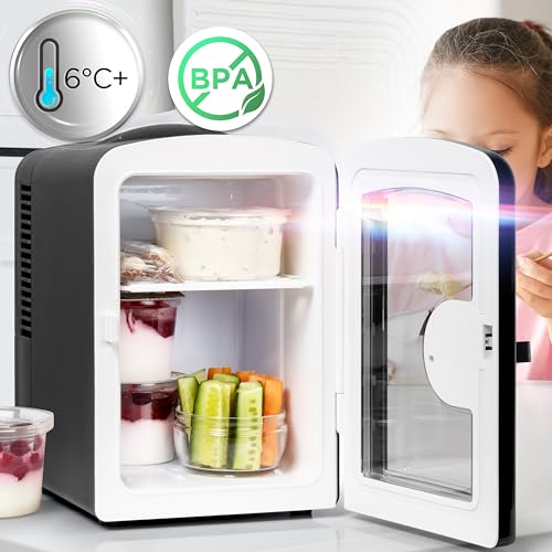 AC/DC Small Fridges for Bedroom Home Office Car Black