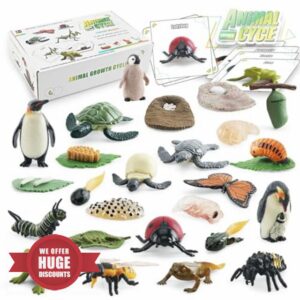 Montessori Life Cycle Learning Education Toy Set Animal Figures Craft Model Kit for Preschool Science Ideal Curiosity Natural World Exploration Age 3