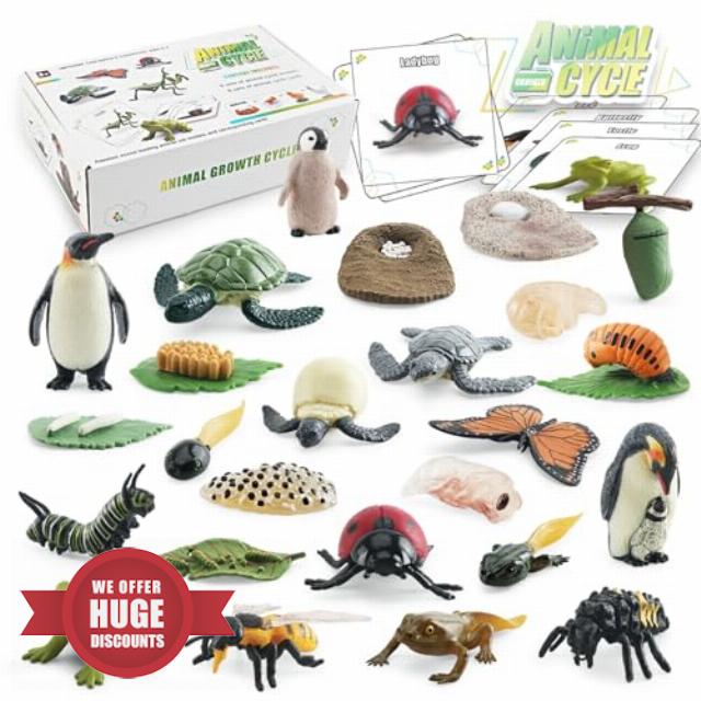 Montessori Life Cycle Learning Education Toy Set Animal Figures Craft Model Kit for Preschool Science Ideal Curiosity Natural World Exploration Age 3