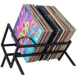 Metal Album Organizer with Angled Display