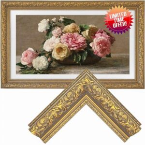 Samsung the Frame TV Bezel/Mounts