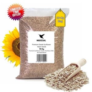 Premium Sunflower Heart Seeds Wild Bird Food – High Energy