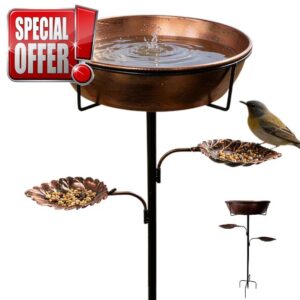 Outdoor Bird Bath | Rustproof Metal Tray with Removable Bowl