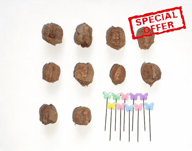 Praying Mantis Ootheca Egg Case Habitat Kit with(Ten Egg Cases) – Equipped with 10 pins to Nail the Mantis Ootheca to the Trunk