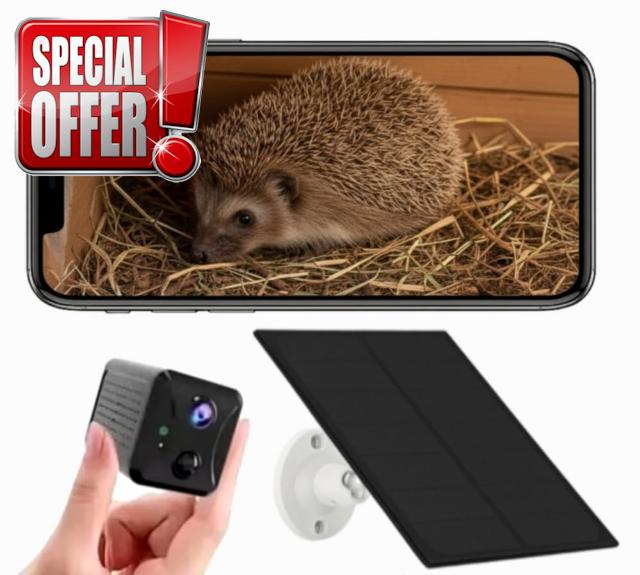 Solar Hedgehog House Camera with WiFi – Wireless HD Wildlife Camera with Night Vision | Live Stream Hedgehogs to Your Phone | Solar Powered Hedgehog Camera