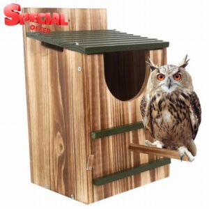 Owl House