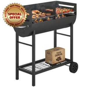 Outsunny Charcoal Barbecue Grill with 2 Cooking Areas