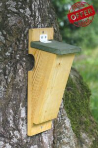 CJ Wildlife Treecreeper Bird Box for Gardens – Bird Nesting Box – FSC® 100% Wood Brown/Green – Weather-Smart Design with Clever Drainage