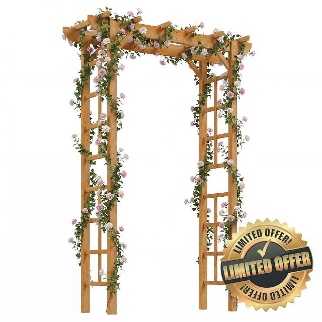 Aoxun Wooden Garden Arch