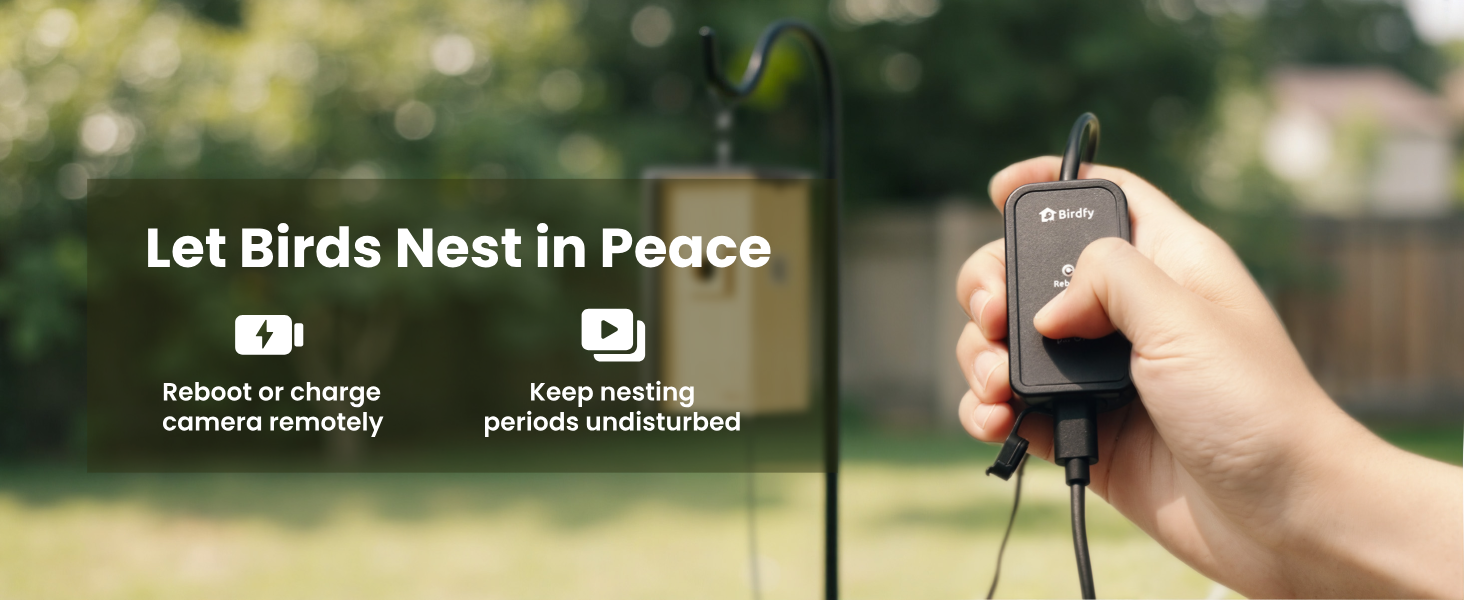 Text reads 'Let Birds Nest in Peace'. Nature-themed photographs showing outdoor scenes and wildlife settings.