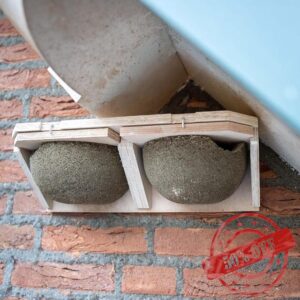 CJ Wildlife House Martin Nest Box – Bird Box for Garden – Woodstone Grey Wood and Concrete – Easy Clean Slide-Out Nests – FSC® 100% Wood