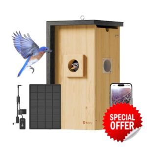 Birdfy Bird House with Camera Solar Powered with Iron Guard for Outside