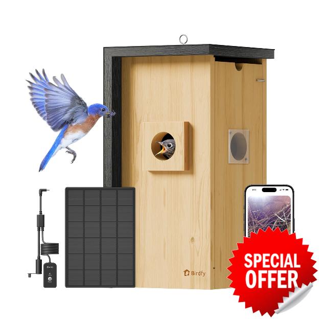 Birdfy Bird House with Camera Solar Powered with Iron Guard for Outside