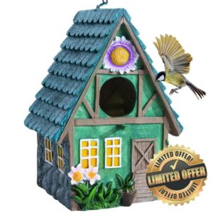 DEWEL Bird Houses for Garden