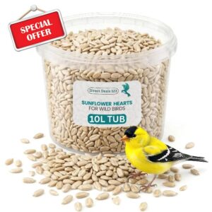 (10L Tub) Sunflower Hearts for Wild Birds Food - 100% Natural