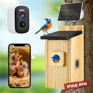 Smart Bird Box with 5MP WiFi Camera