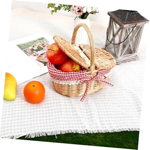 Picnic scene with woven basket, checkered red and white cloth, fresh fruits, and food items arranged on grass.