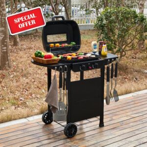 2 Burner Gas Grill BBQ including Cover
