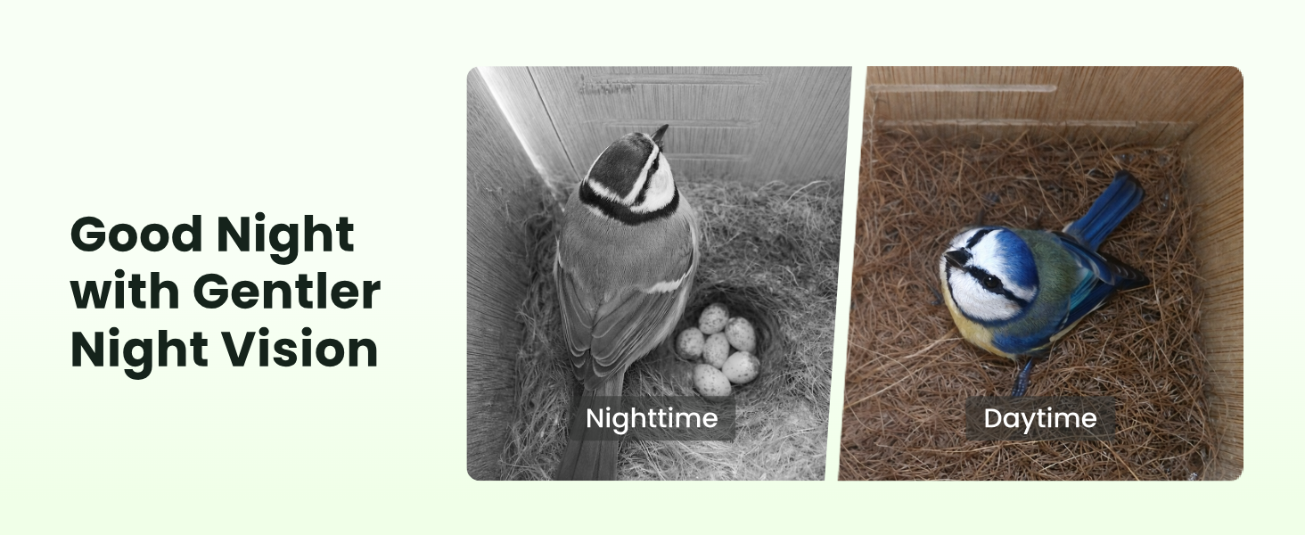 Text reads 'Image 2', 'Good Night with Gentler', 'Night Vision', 'Nighttime', 'Daytime'. Comparison of night vision and regular daytime camera footage showing wildlife monitoring scenes.