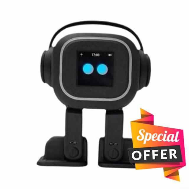 AI Chatbot Robot for Companion: Emotional Interaction