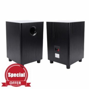 LICAEVEY 100W Home Subwoofer Speaker