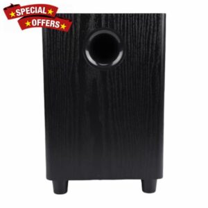 Annadue Subwoofer Speaker – 100W 6.5-inch Home Subwoofer Amplifier