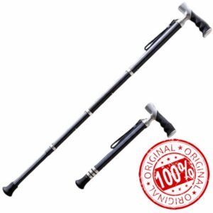 Walking Stick