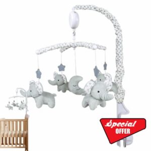 Crib Mobile Girls