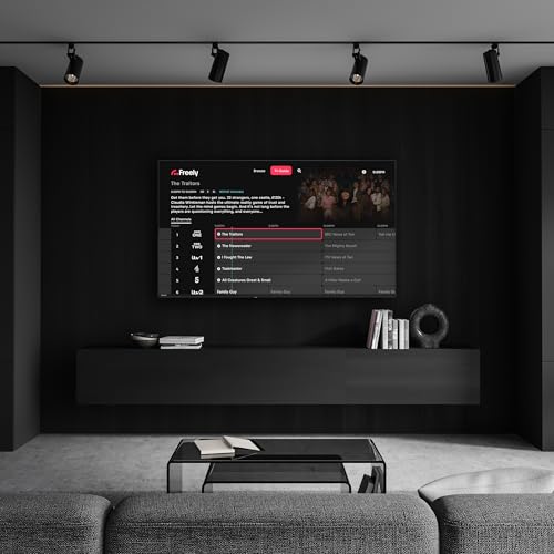 Alexa Voice Remote