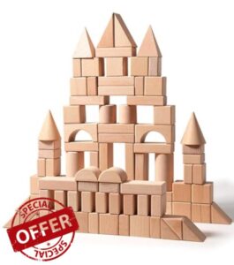 Montessori Wooden Building Blocks Set