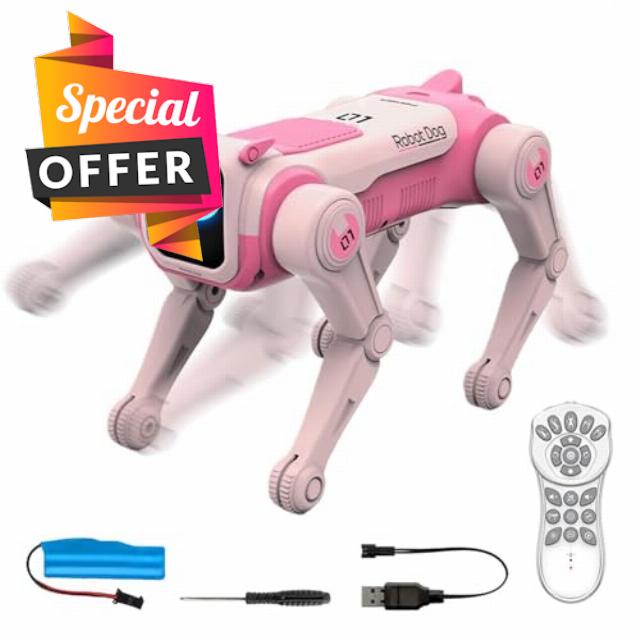 Robotic Dog