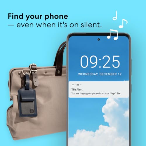 works with Alexa and Google Home