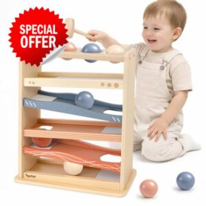 Vanplay Toys for 1 Year Old Boys Girls