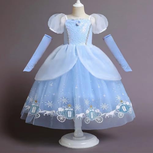 Blue Fairy Tale Fancy Dress Up & Accessories