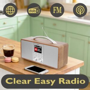 DAB/DAB+ & FM Stereo Radio