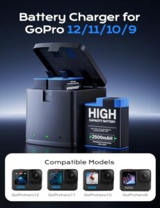 2500mAh High-Capacity Replacement Batteries for GoPro Hero 12