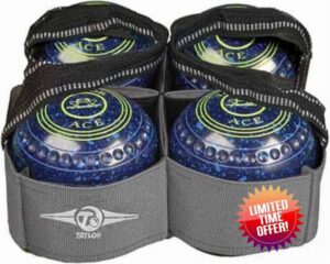 SGL Taylors Silver 4 Bowl Carrier**