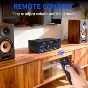 FM Radio and Microphone - 1000W Peak (50W+50W RMS)