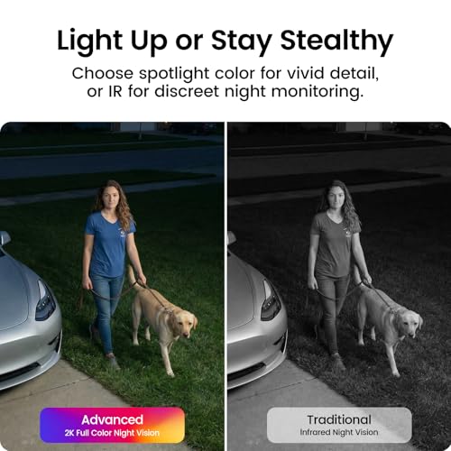 Spotlight & Siren Alarm