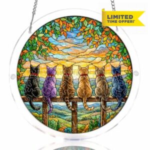 WOODBESTS Acrylic Suncatcher Puzzles