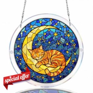 WOODBESTS Acrylic Suncatcher Puzzles