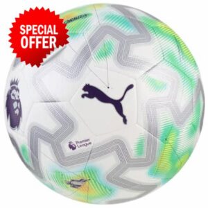 Puma Orbita Cup Premier League Ball 084898-01