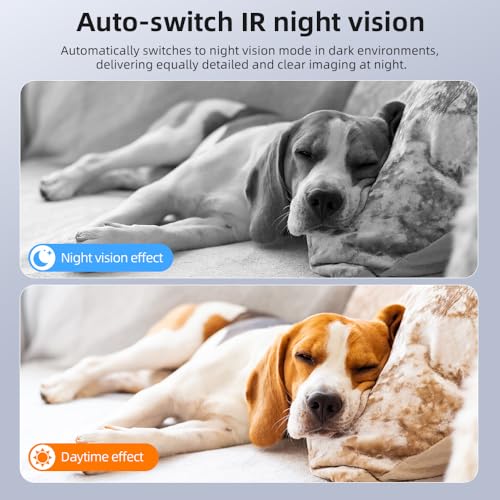 Home Camera