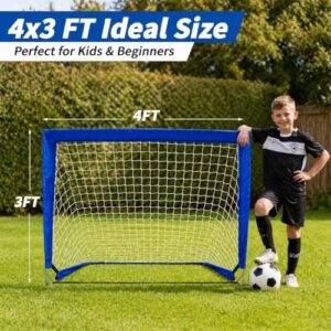 2Pcs 4x3ft Portable Pop Up Net for Garden