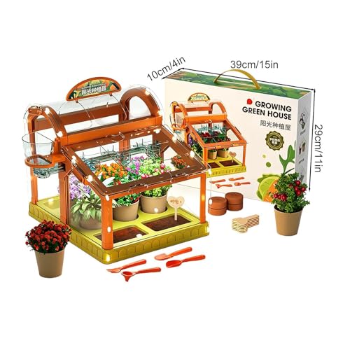 Educational Indoor Greenhouse For Children
